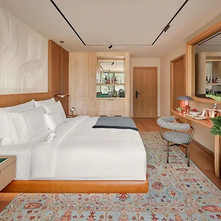 Aliee - A Paris Society Collection 5* Istanbul