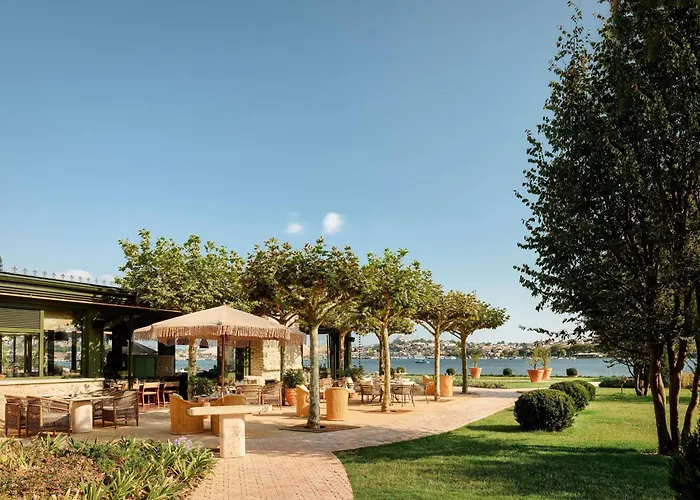 Aliee - A Paris Society Collection 5*