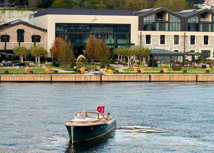 Aliee - A Paris Society Collection