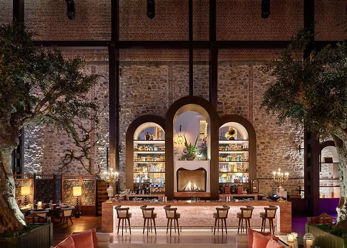 Hotel Aliee - A Paris Society Collection 5*