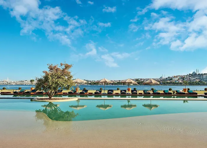 Aliee - A Paris Society Collection 5*