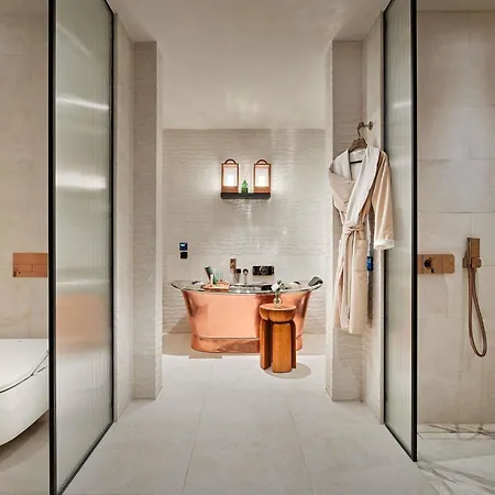 Aliee - A Paris Society Collection 5*