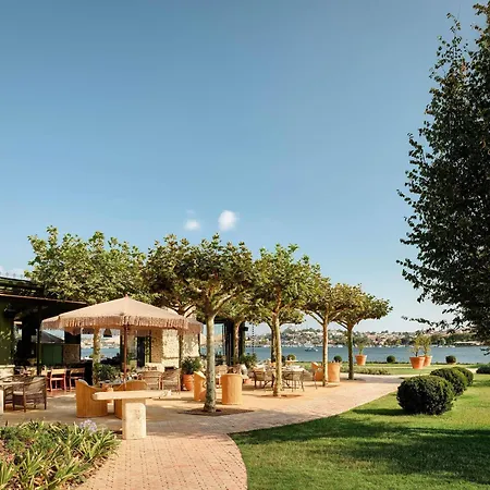 Aliee - A Paris Society Collection 5*