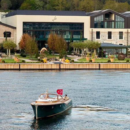 Aliee - A Paris Society Collection