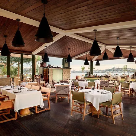 Aliee - A Paris Society Collection