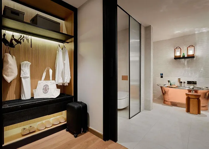 Aliee - A Paris Society Collection Hotel Stambuł