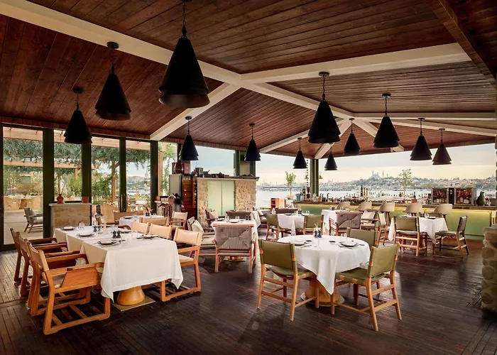 Aliee - A Paris Society Collection