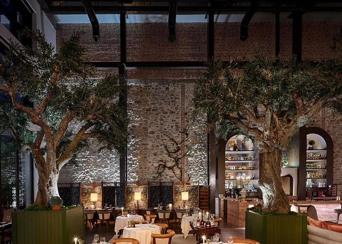 Aliee - A Paris Society Collection Hotel Stambuł